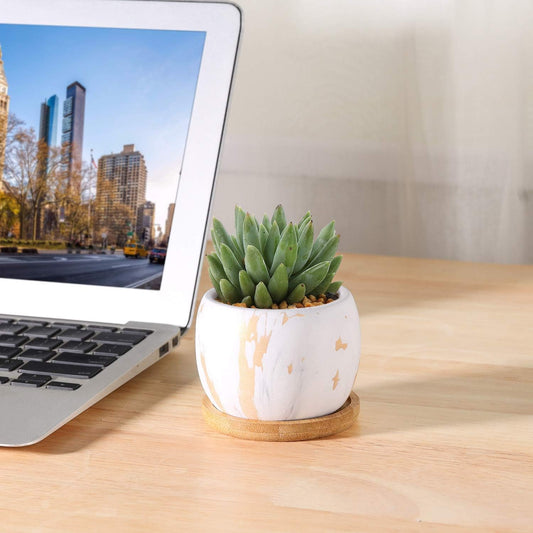 2.5 Inch Succulent Garden Pot with Bamboo Tray, Small Ceramic White and Gold Windowsill Plant Pot Cactus Herb Planter for Home and Office Decoration Birthday Wedding Pack of 6