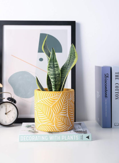 Cement Planter Flower Pot - 4.8" Vintage Indoor Plants Containers Unglazed Medium Bonsai with Drain Hole - Yellow, Leaves Embossment