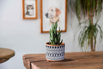 Set of 2 Terracotta Planter Pots, 4 Inch & 6 Inch, Design Plants Pot with Drainage Hole, Midnight Lace, Terracotta/Black, 31-953-F-2