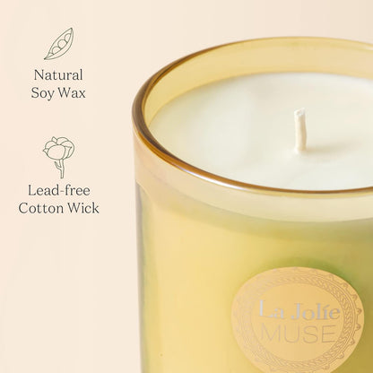 Rose Scented Candles, Candles Gifts for Women, Decorative Candles with Cute Squirrel Lid, Luxury Jar Candles for Home Decor, Natural Soy Wax, 8.5 Oz 60 Hours
