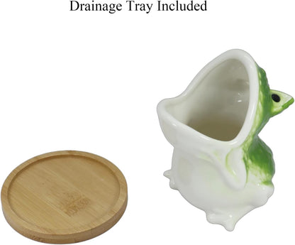 Cute Frog Succulent Planter Pot with Drainage Tray, Small Ceramic Cactus Flower Container, Funny Animal Shaped Indoor Air Plants Holder