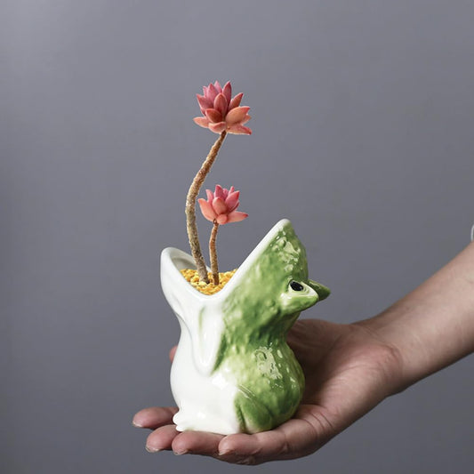 Cute Frog Succulent Planter Pot with Drainage Tray, Small Ceramic Cactus Flower Container, Funny Animal Shaped Indoor Air Plants Holder
