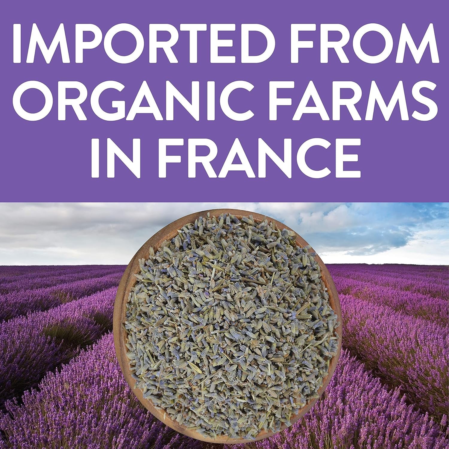 Organic Dried Lavender Flowers, Extra Grade Dried Buds, Imported from France for Culinary or Sachet Bags, 4Oz, Packaging May Vary (Pack of 1)