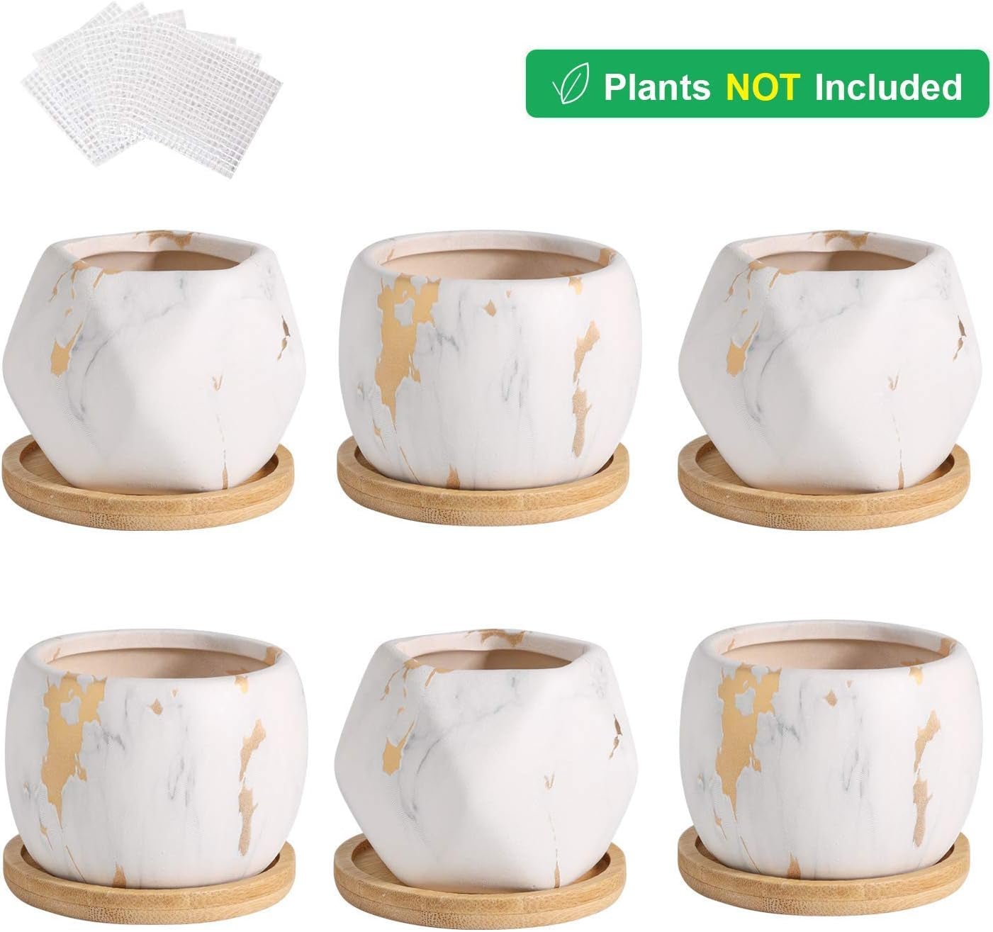 2.5 Inch Succulent Garden Pot with Bamboo Tray, Small Ceramic White and Gold Windowsill Plant Pot Cactus Herb Planter for Home and Office Decoration Birthday Wedding Pack of 6