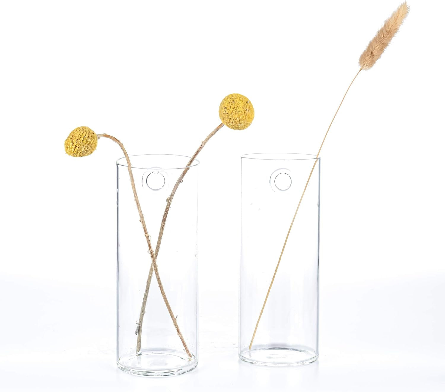 Glass Tube Wall Planter Propagation Station - 2 Pack Terrarium Cylinder Wall Vase with Plant Holder Hydroponic Planter for Home Kitchen Office Decor, Perfect Plant Lover Gifts (Short Cylinder)