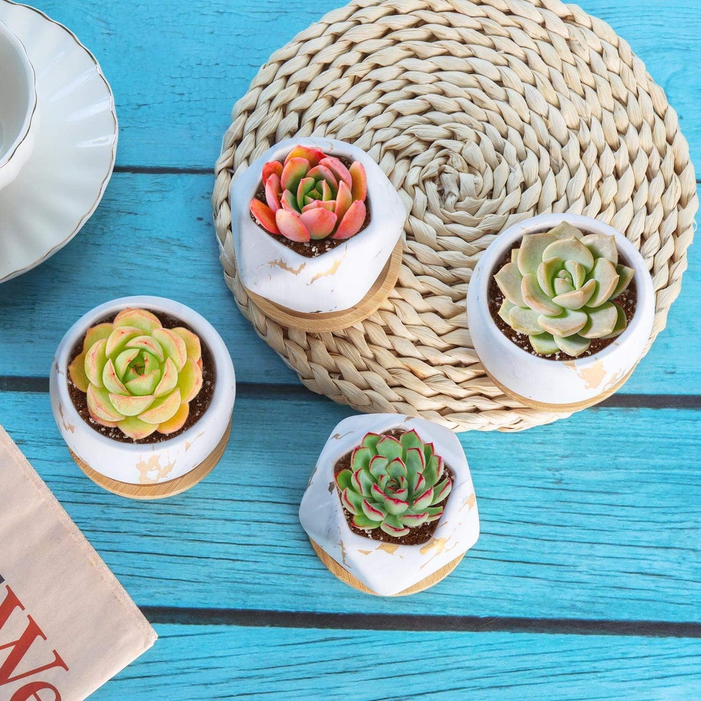 2.5 Inch Succulent Garden Pot with Bamboo Tray, Small Ceramic White and Gold Windowsill Plant Pot Cactus Herb Planter for Home and Office Decoration Birthday Wedding Pack of 6