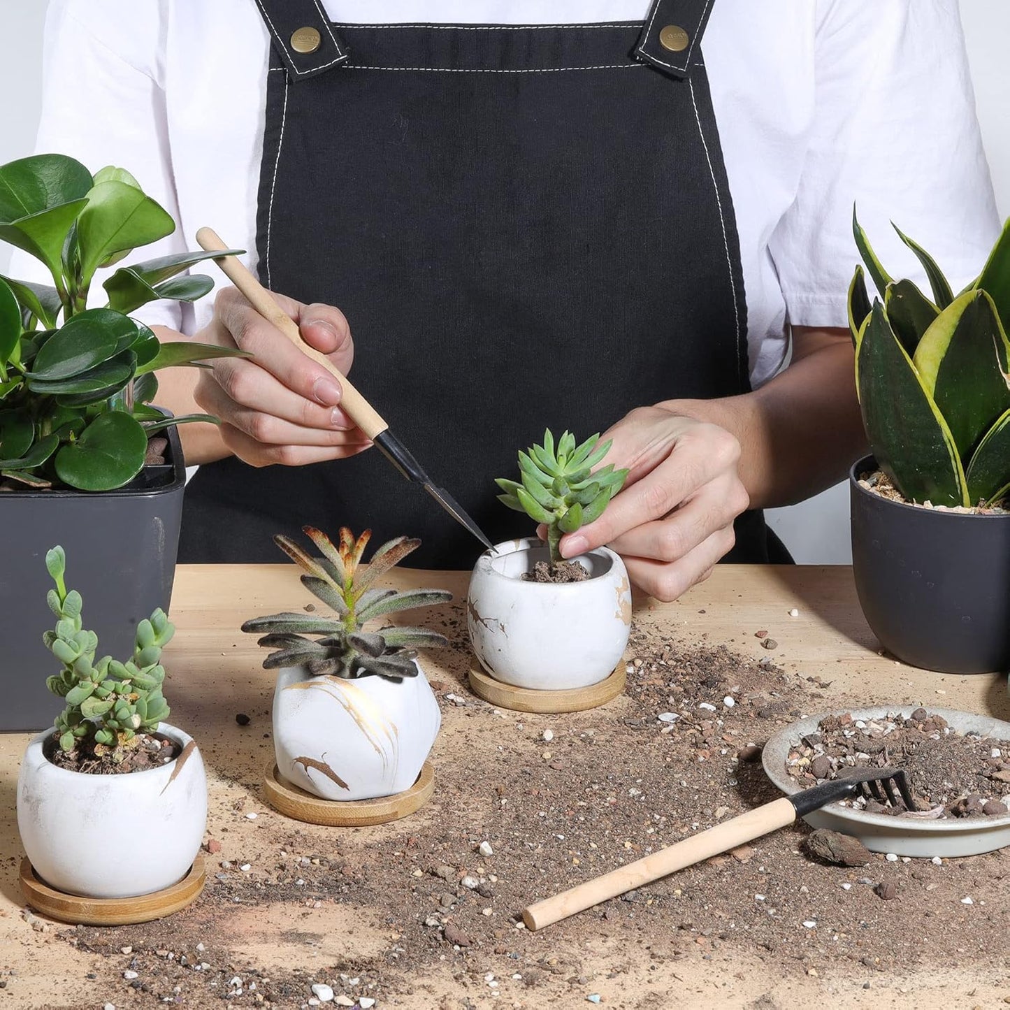 2.5 Inch Succulent Garden Pot with Bamboo Tray, Small Ceramic White and Gold Windowsill Plant Pot Cactus Herb Planter for Home and Office Decoration Birthday Wedding Pack of 6