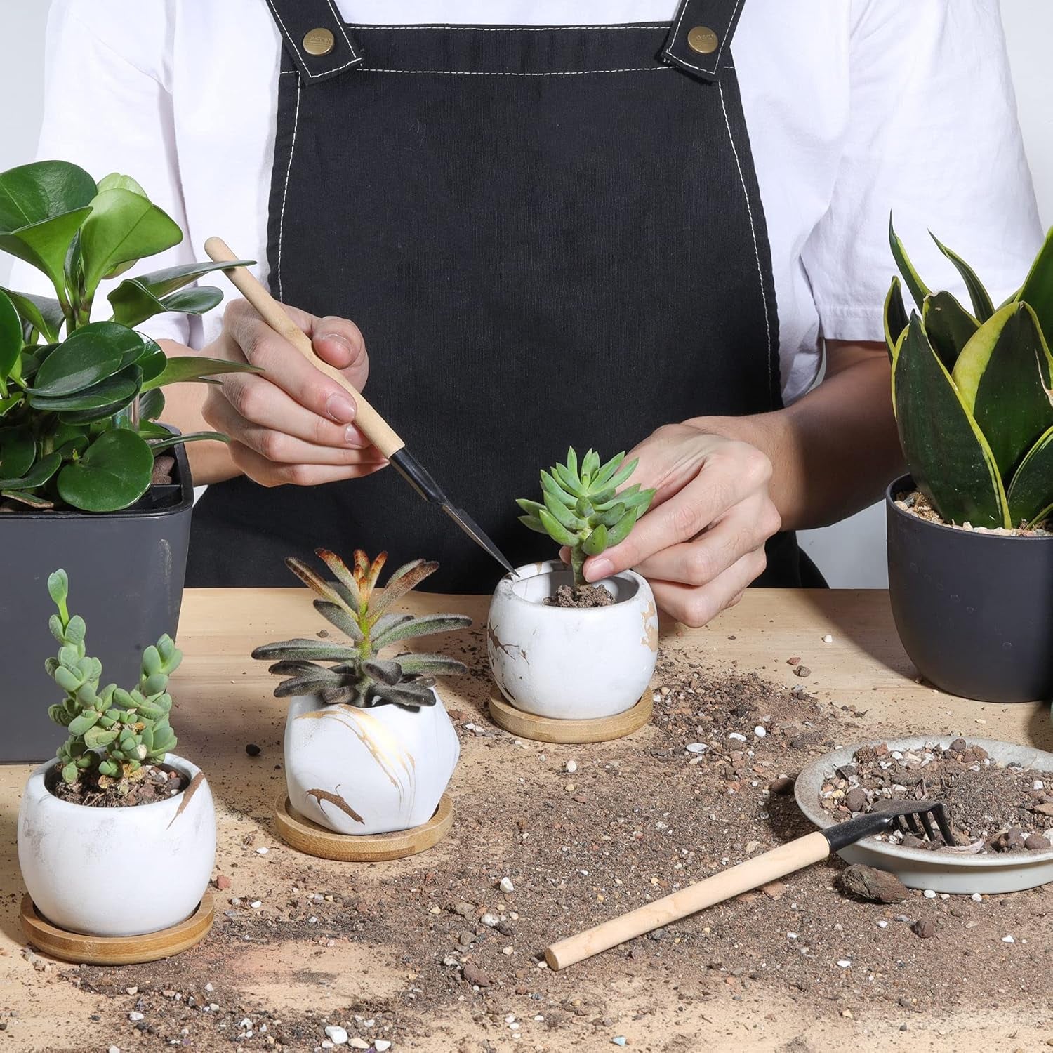 2.5 Inch Succulent Garden Pot with Bamboo Tray, Small Ceramic White and Gold Windowsill Plant Pot Cactus Herb Planter for Home and Office Decoration Birthday Wedding Pack of 6