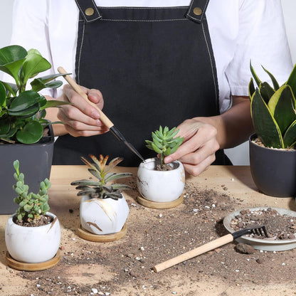2.5 Inch Succulent Garden Pot with Bamboo Tray, Small Ceramic White and Gold Windowsill Plant Pot Cactus Herb Planter for Home and Office Decoration Birthday Wedding Pack of 6