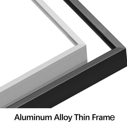 Full Length Mirror Dressing Mirror Standing or Wall Mounted Mirror Aluminum Alloy Frame Mirror for Living Room 65”X 22”(Black)
