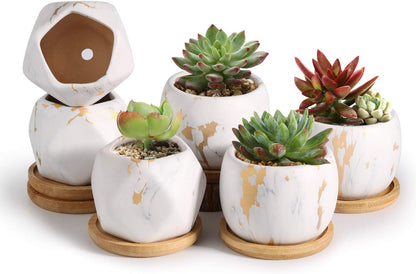 2.5 Inch Succulent Garden Pot with Bamboo Tray, Small Ceramic White and Gold Windowsill Plant Pot Cactus Herb Planter for Home and Office Decoration Birthday Wedding Pack of 6