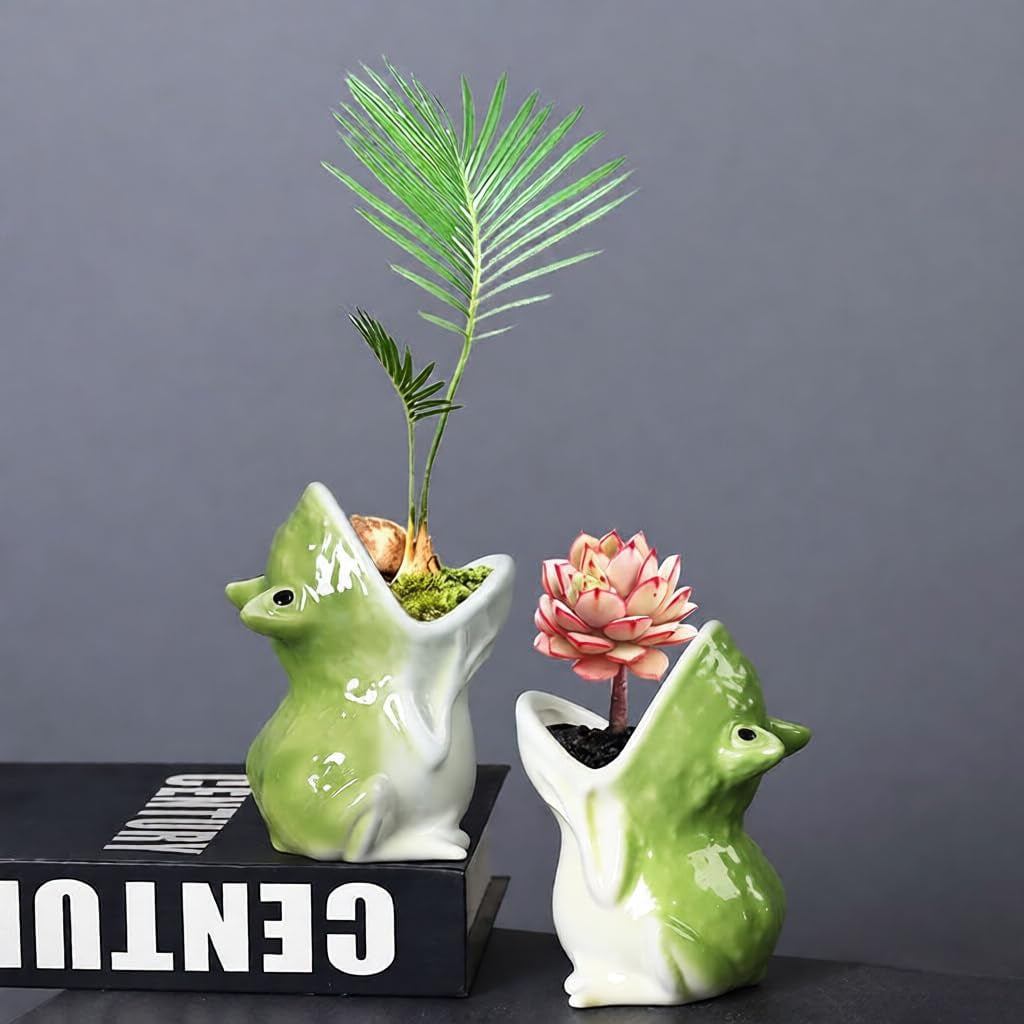 Cute Frog Succulent Planter Pot with Drainage Tray, Small Ceramic Cactus Flower Container, Funny Animal Shaped Indoor Air Plants Holder