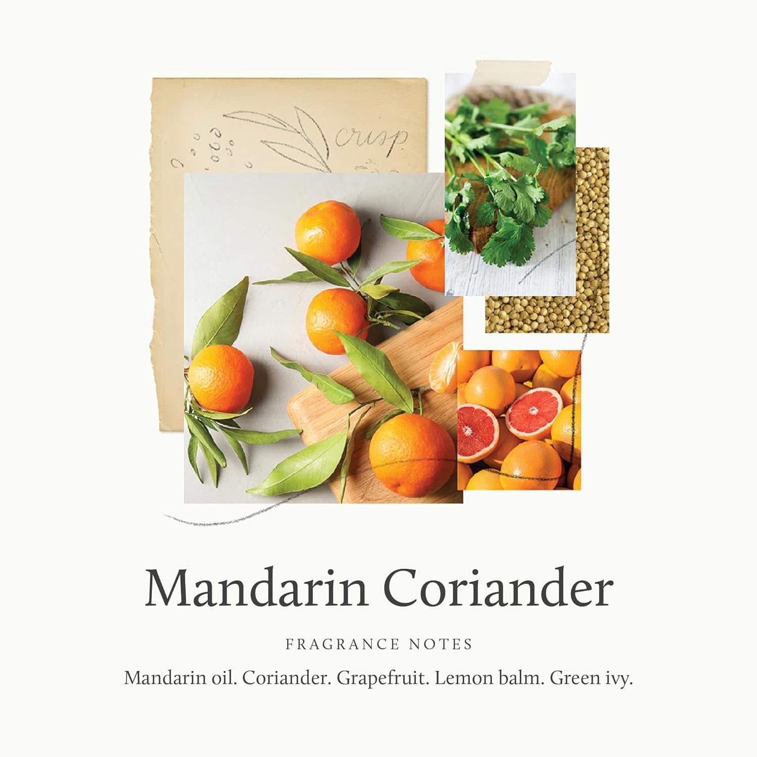 Petite Reed Diffuser - 4 Fl Oz - Mandarin Coriander